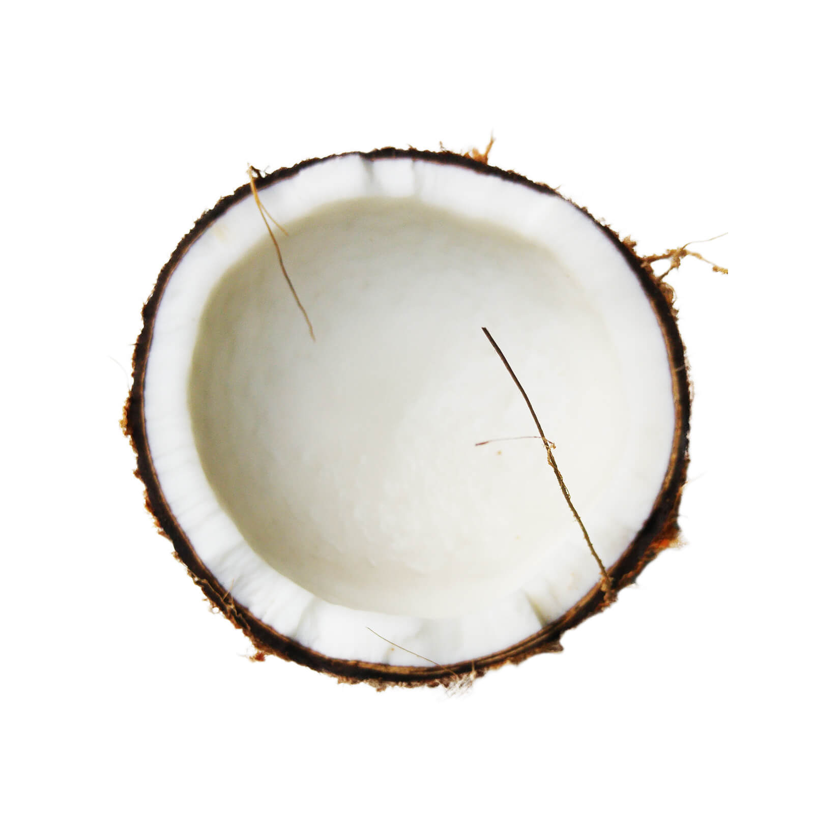 coconut-oil-health