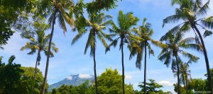 The Coconut Queendom in Bali