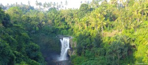 Stunning Tegenungan waterfall in the lush jungle of Bali