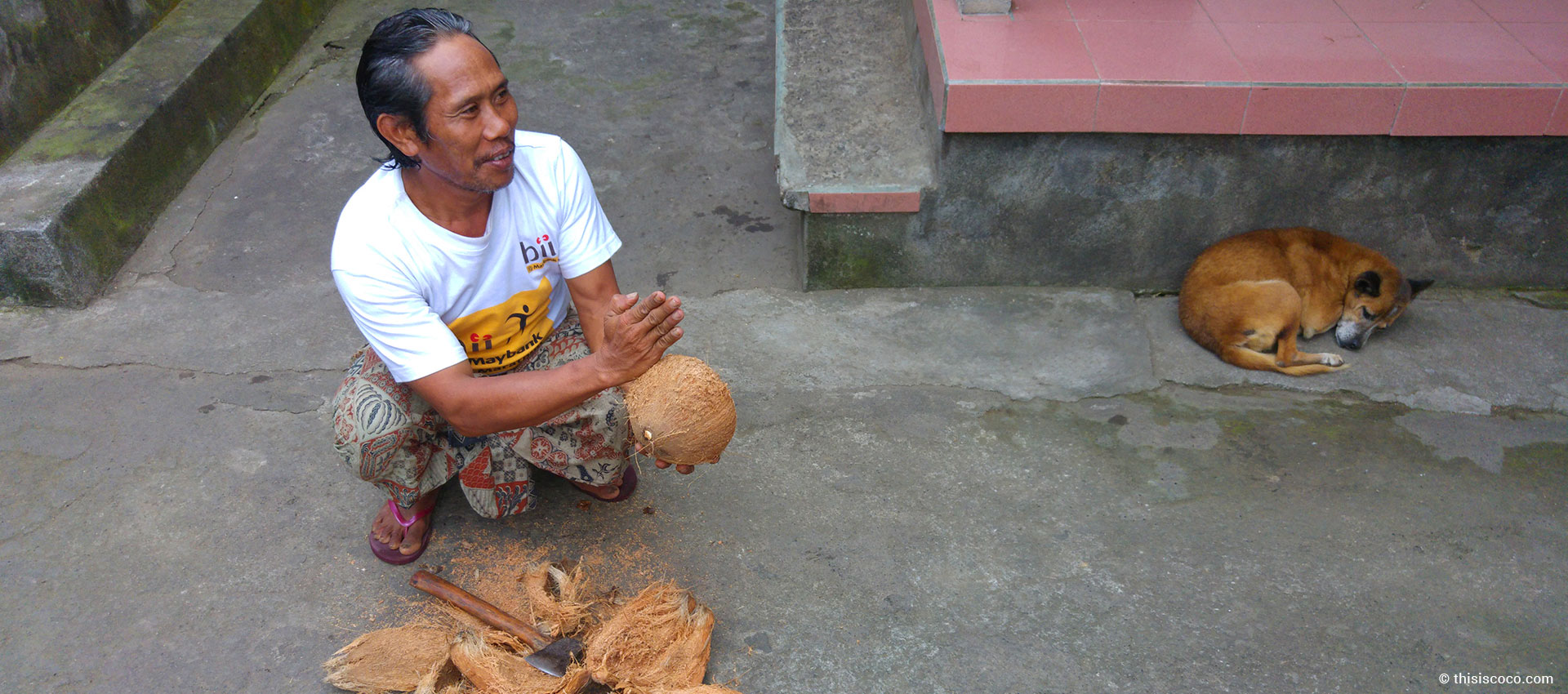 Man opens a coconut in Bali