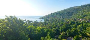 Beach, palmtrees and jungle in Bali