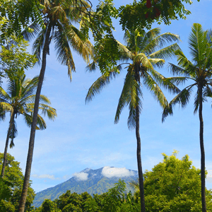 Coconut love in Bali - one month in beautiful Indonesia