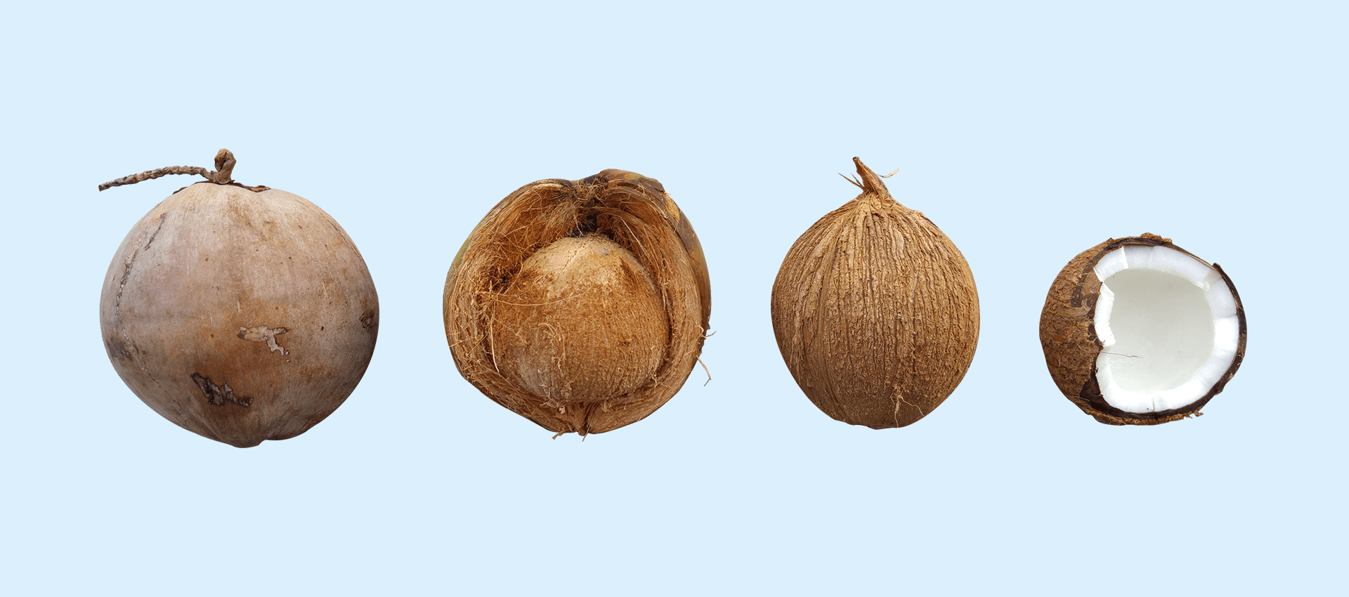 35 kokosolie toepassingen voor je huid, haar, nagels & tanden