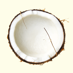 Coconut oil for your hair - why you should start using it if you haven't yet