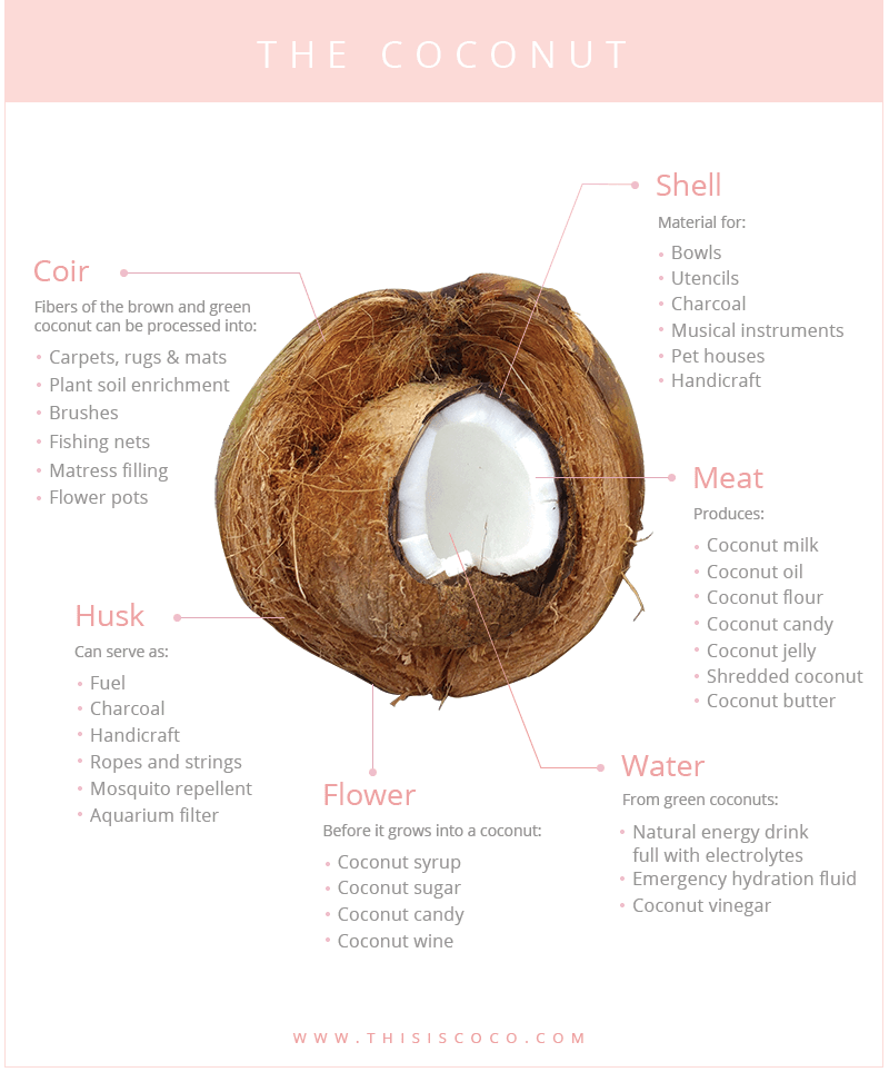 The amazing uses of coconut 