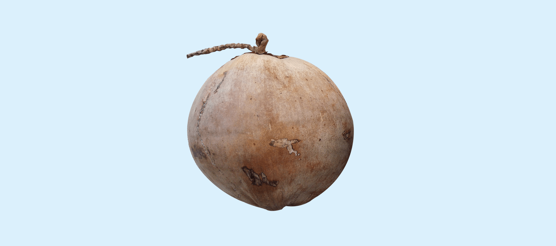 Amazing uses of coconut products