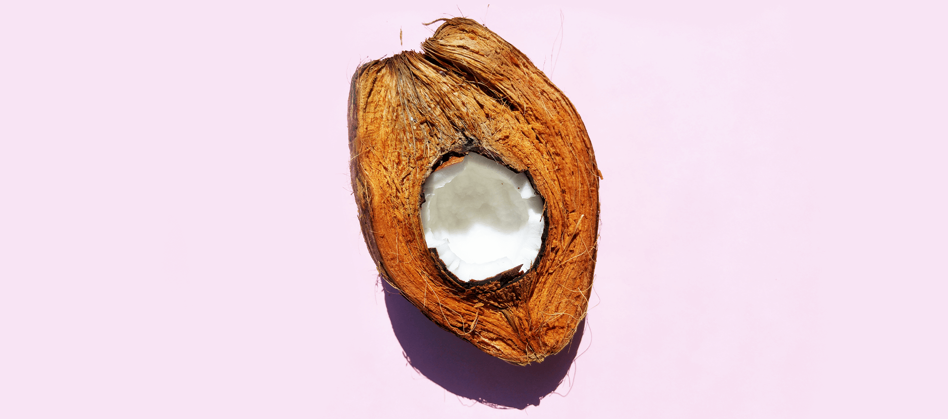 Is de kokosnoot een noot, een zaad of een vrucht?