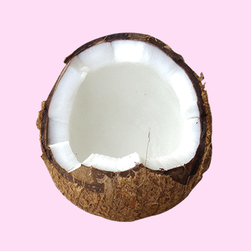 Coconut Queendom - events